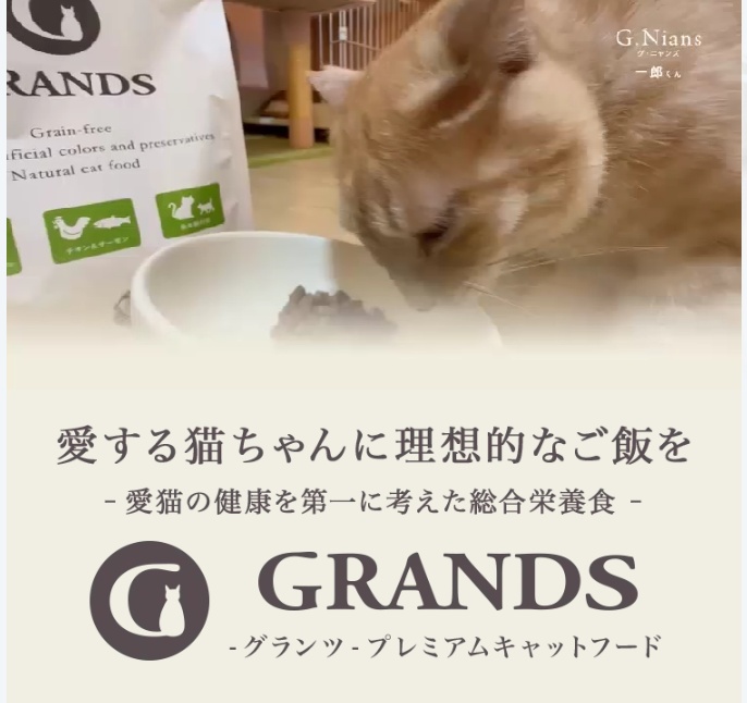 グランツキャットフード